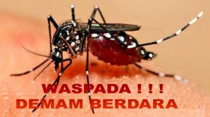 Awal 2016, DB Telan 11 Korban Meninggal Awal 2016, DB Telan 11 Korban Meninggal