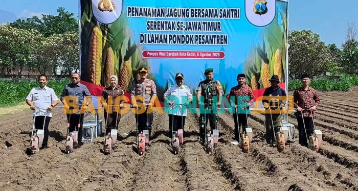 Dukung Ketahanan Pangan Nasional, Santri di Kediri Tanam Jagung Serentak