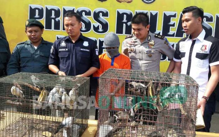 Polres Gresik Bongkar Sindikat Penjualan Burung Langka