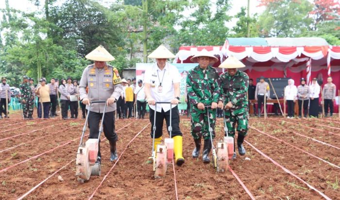Dukung Program KPN, Kapolres Bangkalan Gelar Tanam Jagung Bersama Forkopimda dan Petani Dukung Program KPN, Kapolres Bangkalan Gelar Tanam Jagung Bersama Forkopimda dan Petani