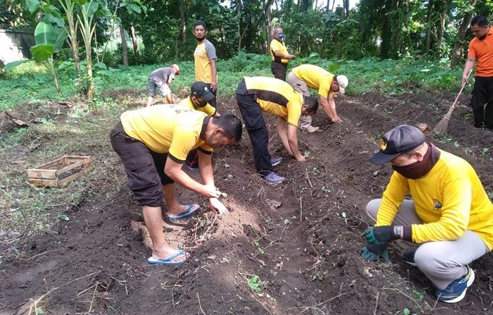 Mengintip Program Ketahanan Pangan ala Polsek Ngadiluwih di Tengah Pandemi Covid-19