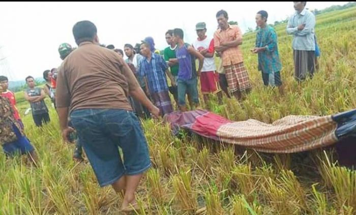 Sedang Panen Padi, Warga Probolinggo Tewas Disambar Petir