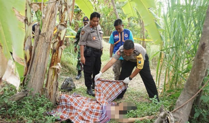 Mayat Mr. X Ditemukan di Bantaran Sungai Balongbendo Mayat Mr. X Ditemukan di Bantaran Sungai Balongbendo