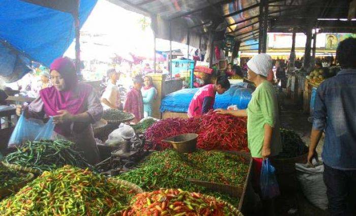 Petani Gagal Panen, Harga Cabe dan Bawang di Pacitan Melangit