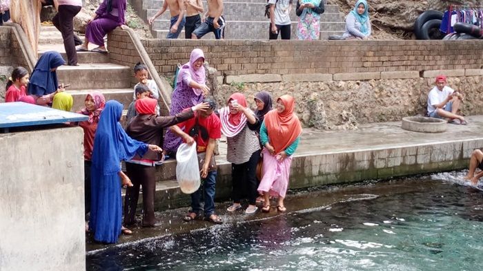 ​Wujud Rasa Syukur, Paguyuban Pedagang Bektiharjo Tuban Tumpengan dan Tebar Ikan di Sendang