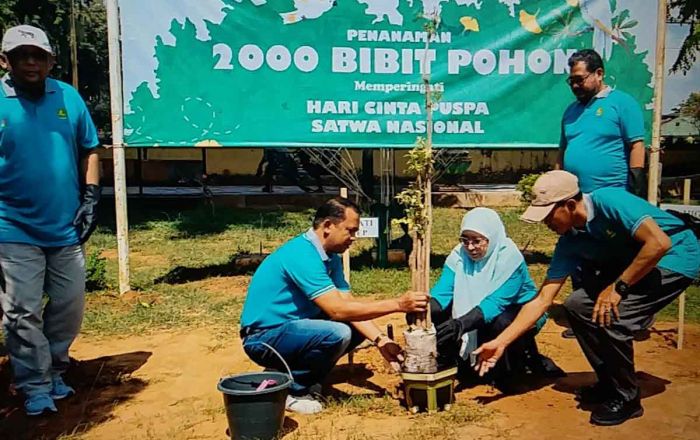 Ciptakan Udara Bersih dan Berkualitas, DLH Sumenep dan Medco Energi Tanam Ribuan Pohon Ciptakan Udara Bersih dan Berkualitas, DLH Sumenep dan Medco Energi Tanam Ribuan Pohon