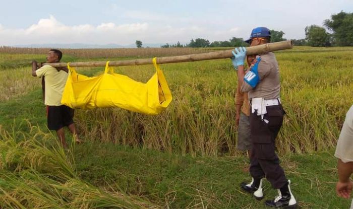 Petani Tuban Ditemukan Meninggal di Persawahan Desa Jatisari