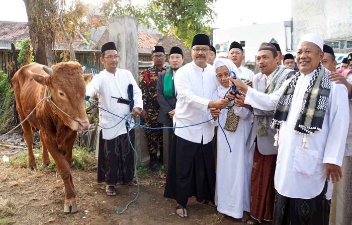Atas Nama Pemkot Pasuruan, Gus Ipul Kurban 2 Sapi Atas Nama Pemkot Pasuruan, Gus Ipul Kurban 2 Sapi