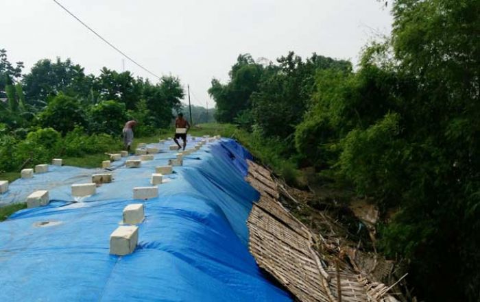 Bersama Warga, BPBD Perbaiki Tanggul Bengawan Solo di Kanor