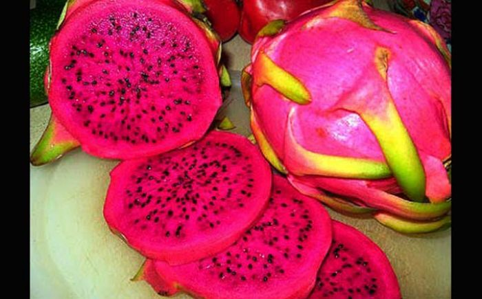 Buah Naga yang Mencengangkan untuk Melawan Penyakit Kanker Buah Naga yang Mencengangkan untuk Melawan Penyakit Kanker