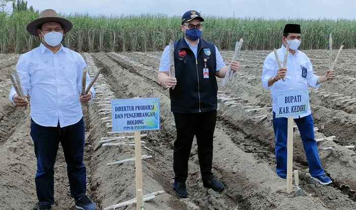 Bupati Kediri Apresiasi Program Makmur untuk Petani Tebu yang Dijalankan PTPN X Bupati Kediri Apresiasi Program Makmur untuk Petani Tebu yang Dijalankan PTPN X