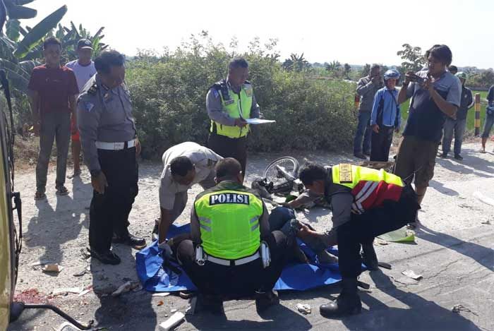 Diseruduk Truk Box, Pedagang Tempe Asal Bojonegoro Tewas Diseruduk Truk Box, Pedagang Tempe Asal Bojonegoro Tewas