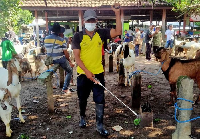 Putus Rantai Penyebaran PMK, DKPP Kota Kediri Lakukan Penyemprotan Disinfektan di Pasar Hewan Putus Rantai Penyebaran PMK, DKPP Kota Kediri Lakukan Penyemprotan Disinfektan di Pasar Hewan