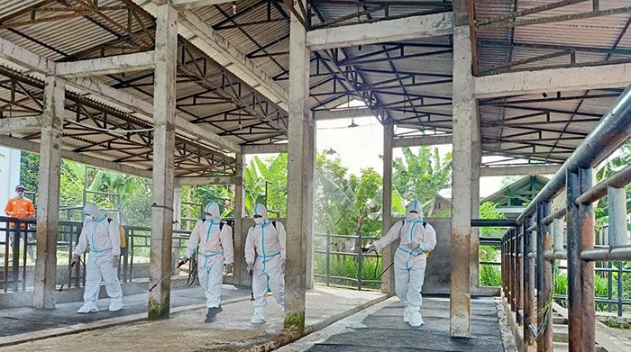Cegah Wabah PMK, Polres Batu Gandeng BPBD Semprotkan Disinfektan di Desa Mojorejo Cegah Wabah PMK, Polres Batu Gandeng BPBD Semprotkan Disinfektan di Desa Mojorejo