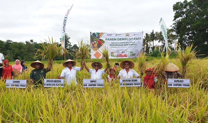 Dirut Petrokimia Panen Raya Padi di Lampung