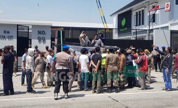 Harga Anjlok, Ratusan Petani Tembakau Probolinggo Ngeluruk Gudang Pabrikan dan Kantor Pemkab Harga Anjlok, Ratusan Petani Tembakau Probolinggo Ngeluruk Gudang Pabrikan dan Kantor Pemkab