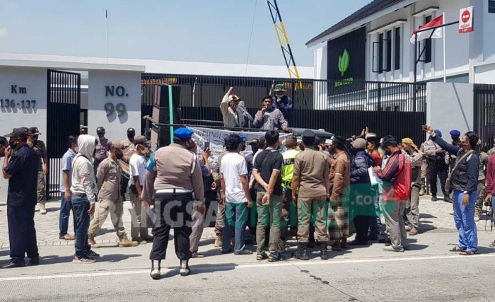 Harga Anjlok, Ratusan Petani Tembakau Probolinggo Ngeluruk Gudang Pabrikan dan Kantor Pemkab