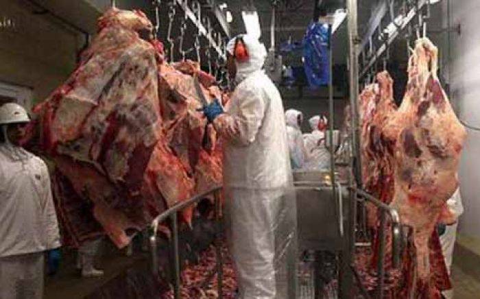 Harga Daging Melejit, RPH Magersari di Kota Mojokerto Sepi Harga Daging Melejit, RPH Magersari di Kota Mojokerto Sepi