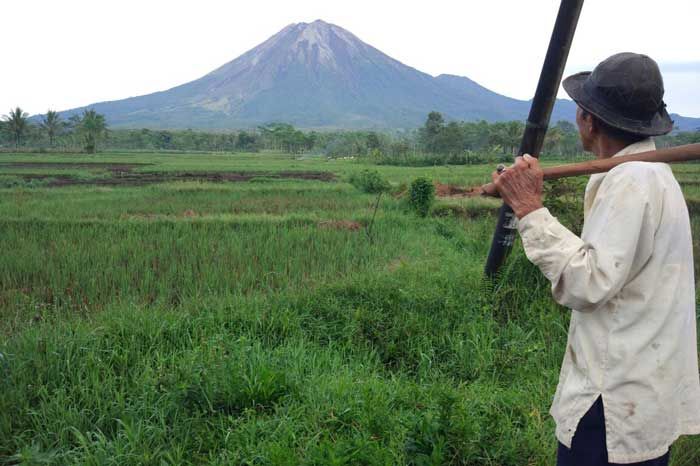 Gunung Semeru Semburkan Guguran Lava, para Penambang Pasir Diminta Waspada