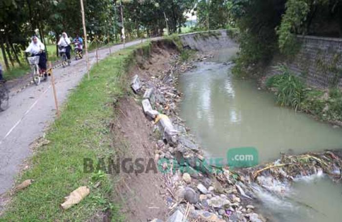 Plengsengan Sungai Marmoyo di Kedungjati Jombang Ambrol, Warga Khawatir Merusak Jalan Plengsengan Sungai Marmoyo di Kedungjati Jombang Ambrol, Warga Khawatir Merusak Jalan