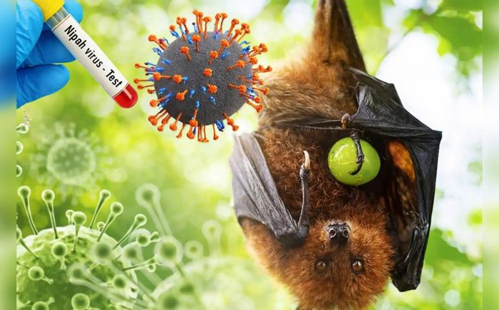 Pemkot Surabaya Terbitkan SE Kewaspadaan Virus Nipah, Warga Diminta Perketat PHBS