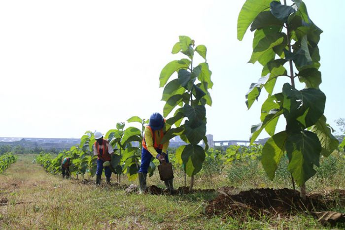 SIG Kenalkan Metode Pengelolaan Lingkungan di Jatim Environment Exhibition & Forum 2022