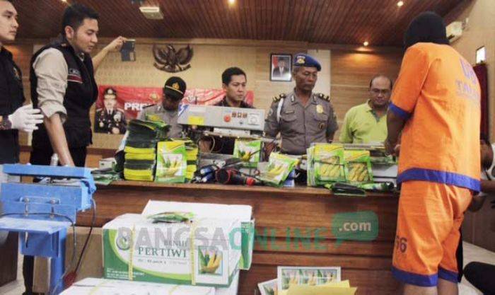 Palsukan Bibit, Warga Semampir Kediri Diringkus Palsukan Bibit, Warga Semampir Kediri Diringkus