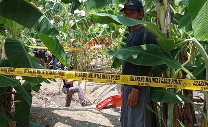 ​Baru Seminggu Pulang dari RSJ Menur, ODGJ di Lamongan Kumat, Bacok Bapak Sendiri Hingga Tewas