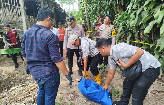 Jasad Bayi Laki-laki Ditemukan Dekat Kandang Ayam di Sumberasri Blitar Jasad Bayi Laki-laki Ditemukan Dekat Kandang Ayam di Sumberasri Blitar