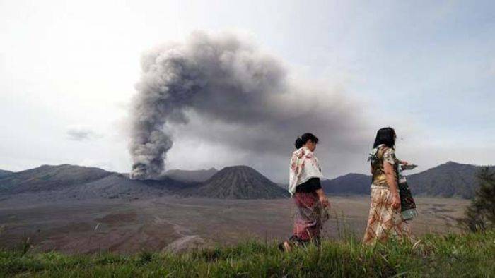 Dampak Guyuran Hujan Abu Gunung Bromo, Warga Arjosari Lumajang Gagal Panen Dampak Guyuran Hujan Abu Gunung Bromo, Warga Arjosari Lumajang Gagal Panen