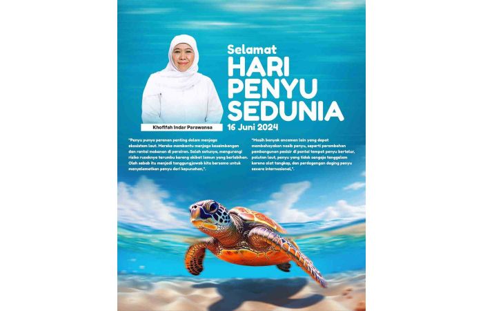 Hari Penyu se-Dunia, Khofifah Ajak Selamatkan Penyu dari Kepunahan