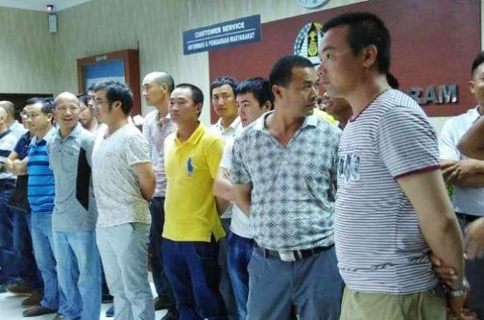 Tenaga Kerja Asing di Lamongan Capai 107 Orang Tenaga Kerja Asing di Lamongan Capai 107 Orang