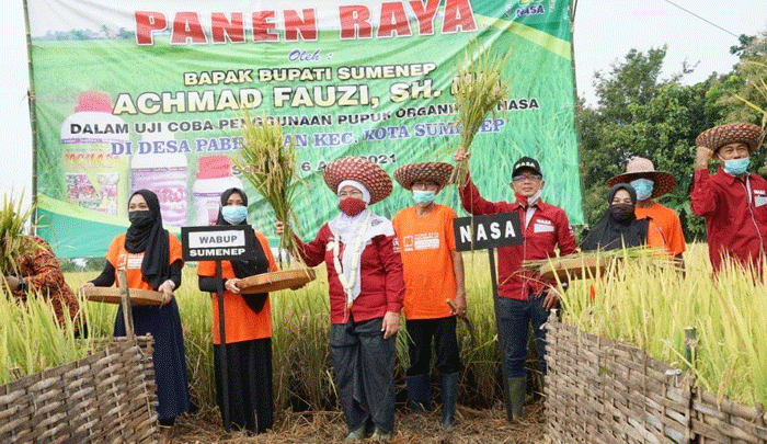 Warga Paberasan Sumenep Bersama Wabup Dewi Gelar Panen Raya Warga Paberasan Sumenep Bersama Wabup Dewi Gelar Panen Raya