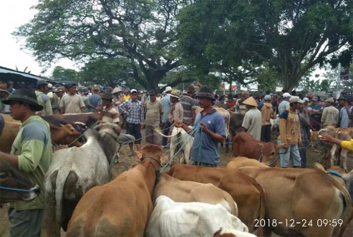 Akhir Tahun, Penjualan Hewan Mengalami Peningkatan