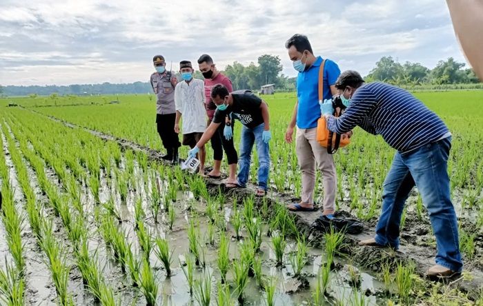 Jebakan Tikus Listrik di Ngawi Kembali Memakan Korban Jiwa Jebakan Tikus Listrik di Ngawi Kembali Memakan Korban Jiwa
