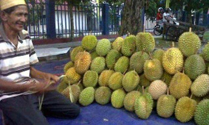 Satpol PP Kediri Obrak Penjual Durian di Zona Larangan PKL Satpol PP Kediri Obrak Penjual Durian di Zona Larangan PKL