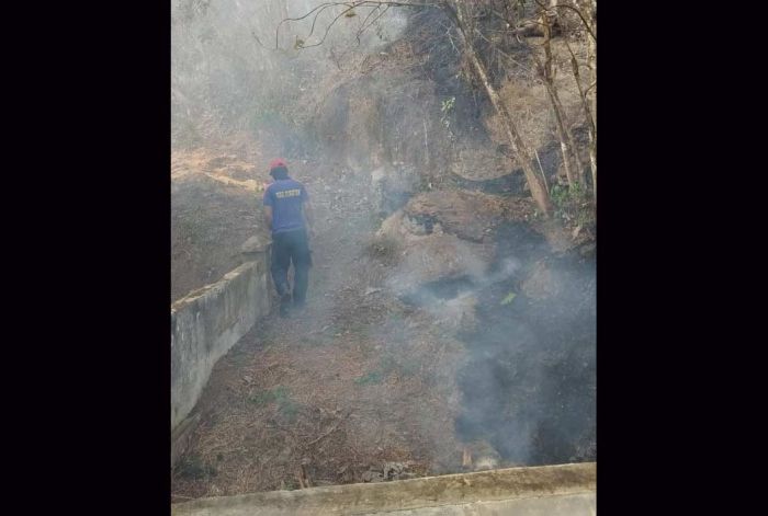 Kebakaran Hutan Kembali Terjadi di Pacitan