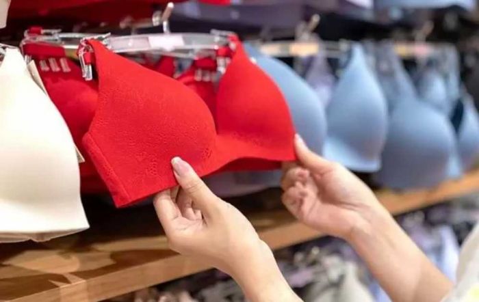 5 Keunggulan T-shirt Bra Felancy 5 Keunggulan T-shirt Bra Felancy