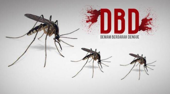 DBD Serang Warga Sumenep, Dewan Minta Dinkes tak hanya Beri Imbauan DBD Serang Warga Sumenep, Dewan Minta Dinkes tak hanya Beri Imbauan