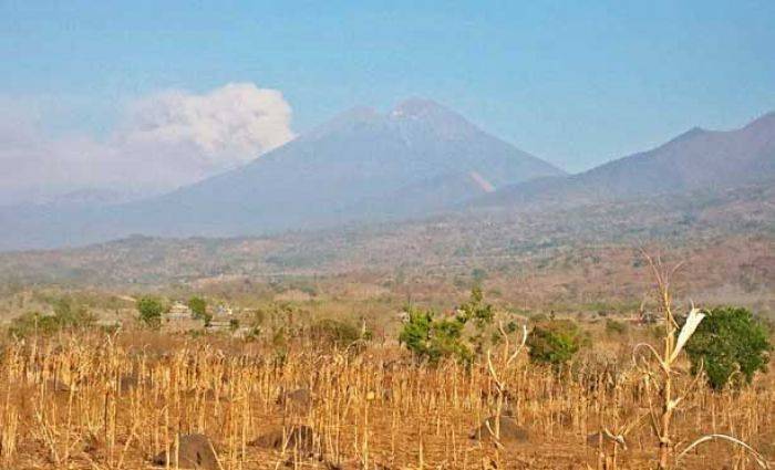 Anak Rinjani Anak Rinjani