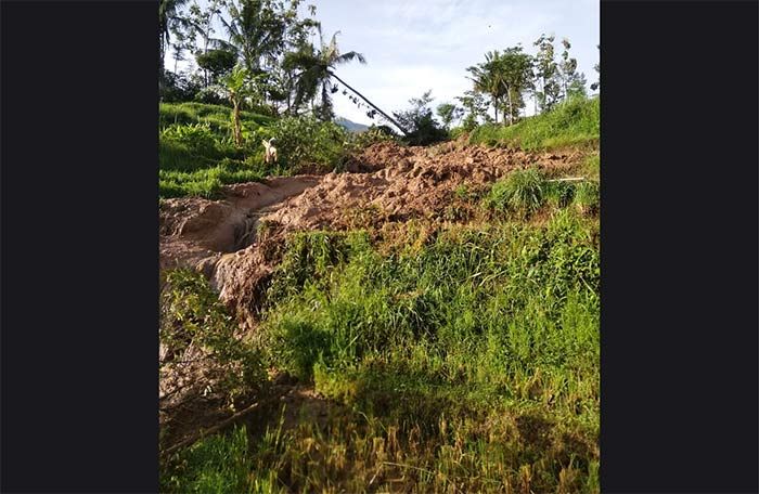 Tanah Persawahan di Ngawi Longsor Usai Diguyur Hujan Tanah Persawahan di Ngawi Longsor Usai Diguyur Hujan