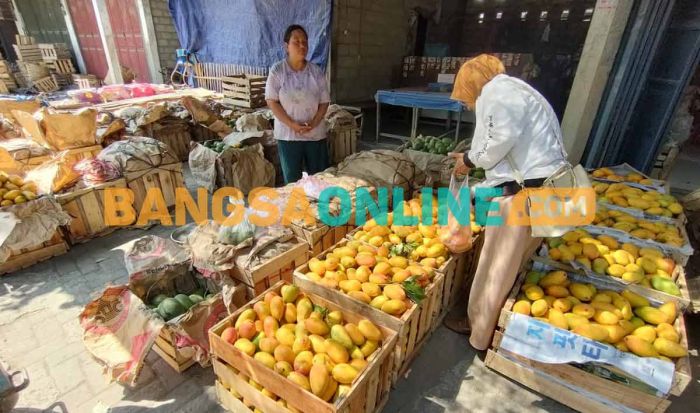 Terdampak Tol Kediri-Tulungagung, Pedagang Pasar Grosir Buah Banyakan Pasrah Terdampak Tol Kediri-Tulungagung, Pedagang Pasar Grosir Buah Banyakan Pasrah