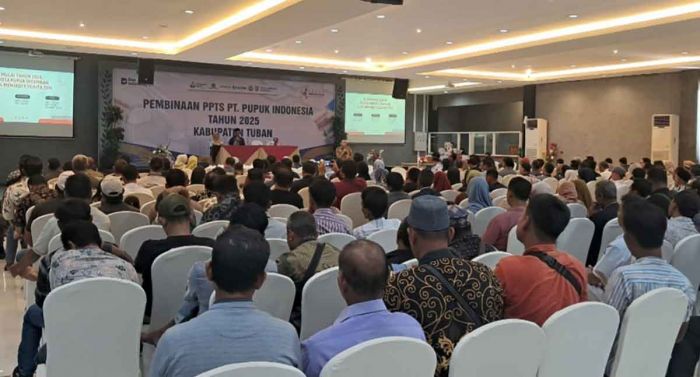 Stok Pupuk Subsidi Tuban Aman hingga Akhir 2025, Serapan Capai 83,6 Persen