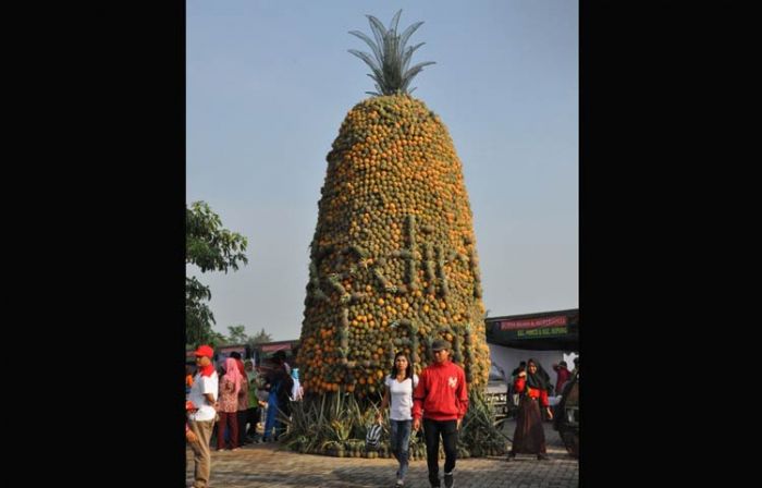 Yuk, Datang ke Festival Kelud 2018, Ada Arak-arakan Nanas hingga Minum Susu dan Kopi Gratis