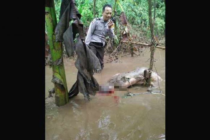 Mandi di Air Terjun Klepu, 2 Pemuda Kediri Tewas Diseret Banjir Bandang Mandi di Air Terjun Klepu, 2 Pemuda Kediri Tewas Diseret Banjir Bandang