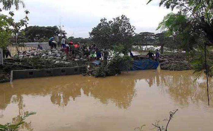 Empat Tanggul di Lamongan Jebol, Puluhan Hektar Sawah dan Tambak Terendam Empat Tanggul di Lamongan Jebol, Puluhan Hektar Sawah dan Tambak Terendam