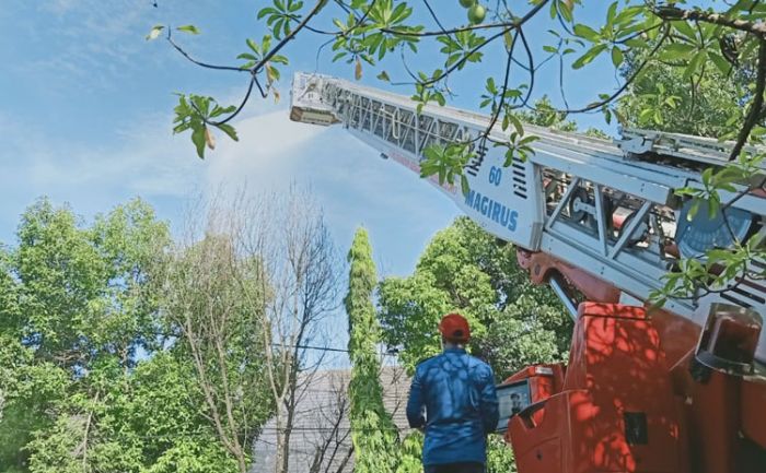 Penyemprotan Disinfektan Pasar Bojonegoro Gunakan Mobil Crane Tertinggi Kedua se-Dunia Penyemprotan Disinfektan Pasar Bojonegoro Gunakan Mobil Crane Tertinggi Kedua se-Dunia