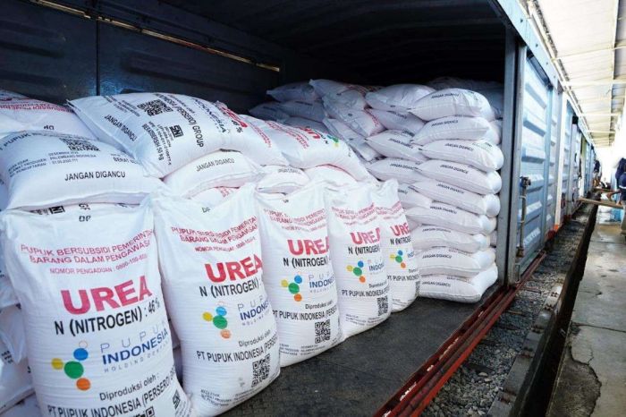 Resmi Diberlakukan Hari ini, DKP2P Tuban Jelaskan Skema Terbaru Distribusi Pupuk Bersubsidi Resmi Diberlakukan Hari ini, DKP2P Tuban Jelaskan Skema Terbaru Distribusi Pupuk Bersubsidi