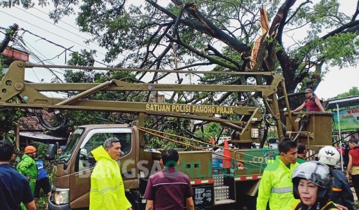 Hujan Disertai Angin Kencang Landa Kota Blitar, Pohon Besar Roboh Melintang di Jalur Provinsi Hujan Disertai Angin Kencang Landa Kota Blitar, Pohon Besar Roboh Melintang di Jalur Provinsi