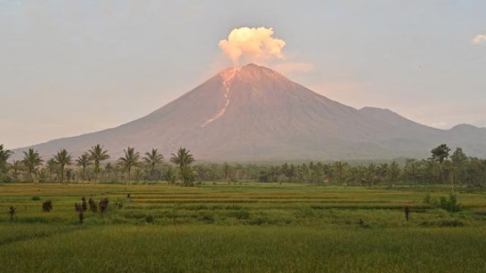 Erupsi Gunung Semeru: Menyingkap Kisah Tragis Aktivis Soe Hok Gie di Gunung Semeru Erupsi Gunung Semeru: Menyingkap Kisah Tragis Aktivis Soe Hok Gie di Gunung Semeru